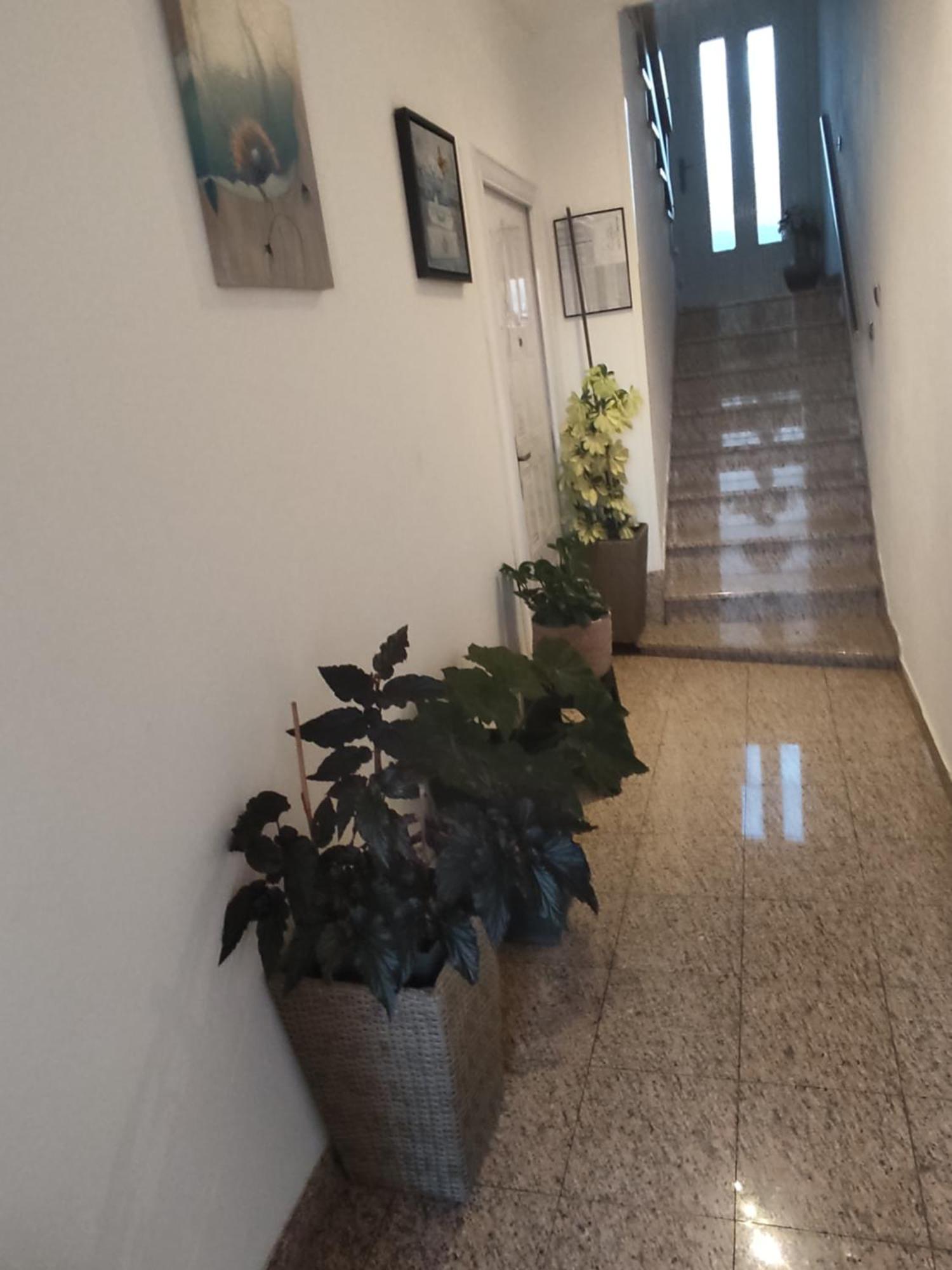 Dalmati House Hotel Brodarica  Exterior photo